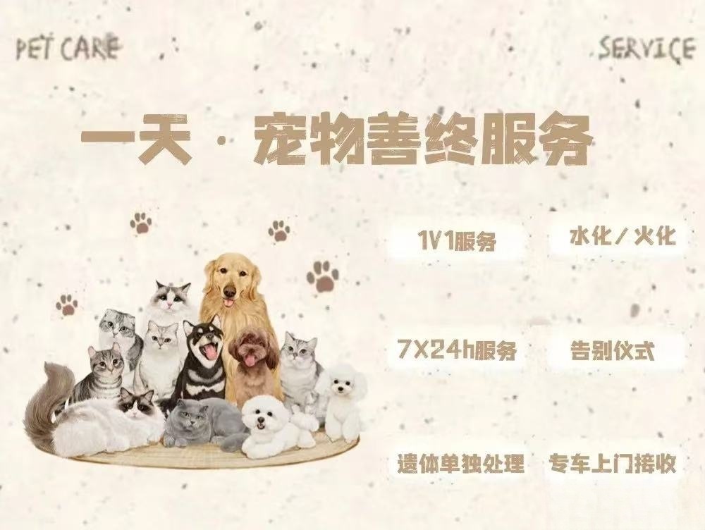 金平一天宠物纪念馆